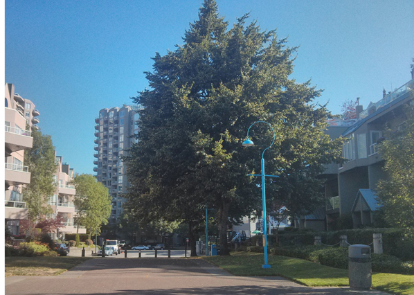 Register under the tress at Reliance Court entrance to the Boardwalk